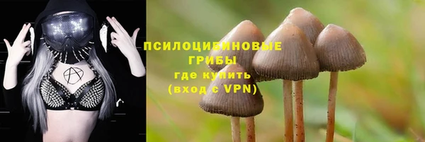 таблы Аркадак