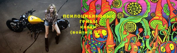 таблы Аркадак