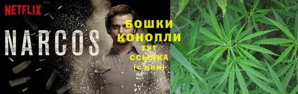 эйфоретик Армянск