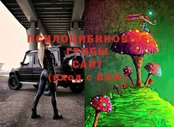спиды Алексеевка