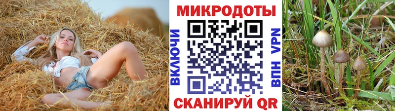 Псилоцибиновые грибы MAGIC MUSHROOMS  MEGA ссылки  Приморск 